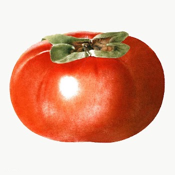 Hand drawn persimmon sticker design element | Free  transparent png - 2350133