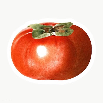 Hand drawn persimmon sticker design element | Free  transparent png - 2350134
