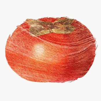 Hand drawn persimmon sticker design element | Free  transparent png - 2350136