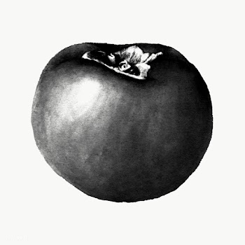 Hand drawn persimmon sticker overlay | Free  transparent png - 2346239