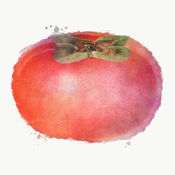 Hand drawn persimmon sticker overlay in watercolor style  | Free  transparent png - 2346016