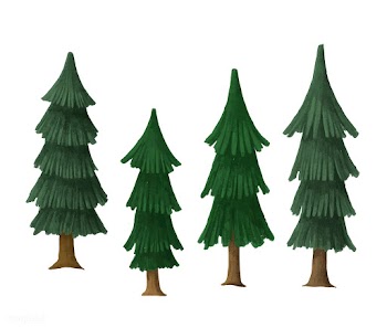 Hand-drawn pine trees on a white background | Free stock vector - 543814