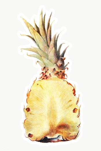 Hand drawn pineapple acrylic style sticker overlay with a white border | Free  transparent png - 2347064