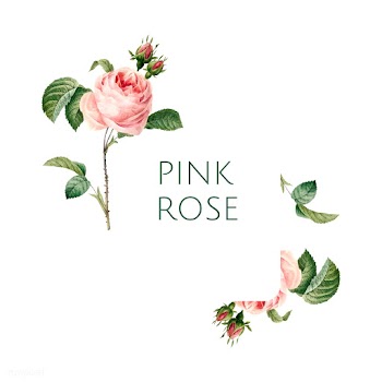 Hand drawn pink rose emblem vector | Free stock vector - 543290