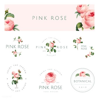 Hand drawn pink rose emblem vector set | Free stock vector - 543353
