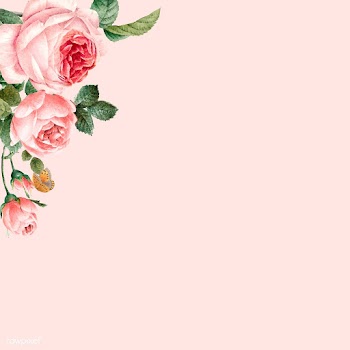 Hand drawn pink roses frame on pastel pink ba.. | Free stock vector - 543320