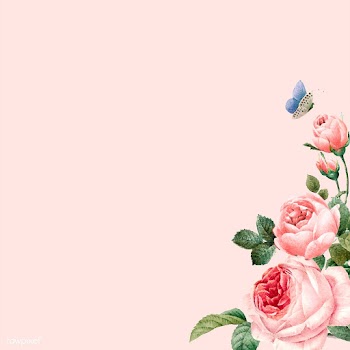 Hand drawn pink roses frame on pastel pink ba.. | Free stock vector - 543324