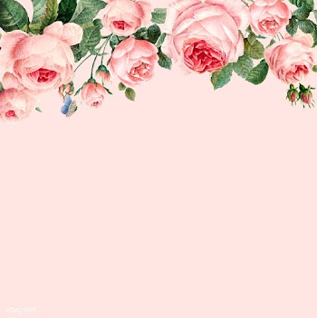 Hand drawn pink roses frame on pastel pink ba.. | Free stock vector - 543341