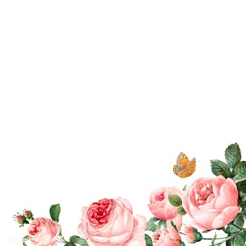 Hand drawn pink roses frame on white backgrou.. | Free stock vector - 543305
