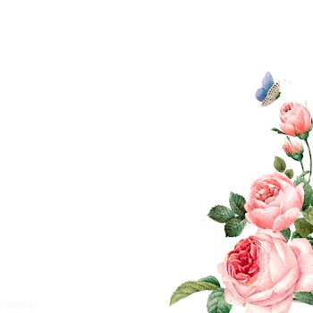 Hand drawn pink roses frame on white backgrou.. | Free stock vector - 543327
