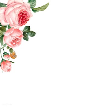 Hand drawn pink roses frame on white backgrou.. | Free stock vector - 543329