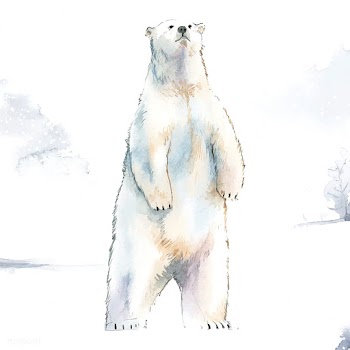 Hand-drawn polar bear in the snow watercolor .. | Free stock vector - 489219