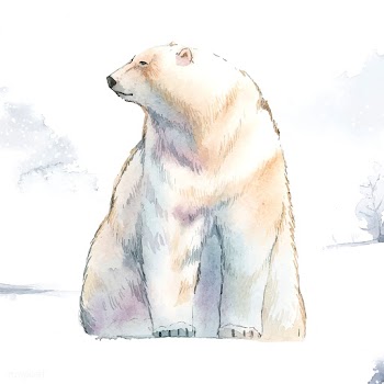 Hand-drawn polar bear in the snow watercolor .. | Free stock vector - 489315