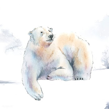 Hand-drawn polar bear in the snow watercolor .. | Free stock vector - 489349