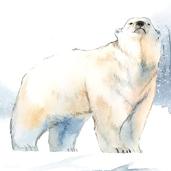 Hand-drawn polar bear in the snow watercolor .. | Free stock vector - 489467