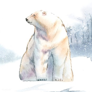 Hand-drawn polar bear in the snow watercolor .. | Free stock vector - 489495