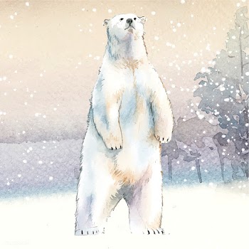 Hand-drawn polar bear in the snow watercolor .. | Free stock vector - 489572
