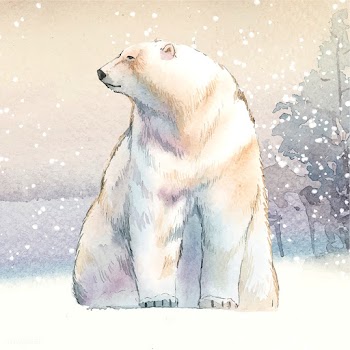 Hand-drawn polar bear in the snow watercolor .. | Free stock vector - 489602