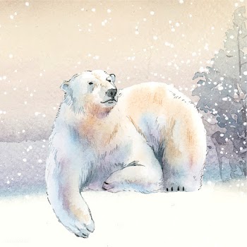 Hand-drawn polar bear in the snow watercolor .. | Free stock vector - 489614