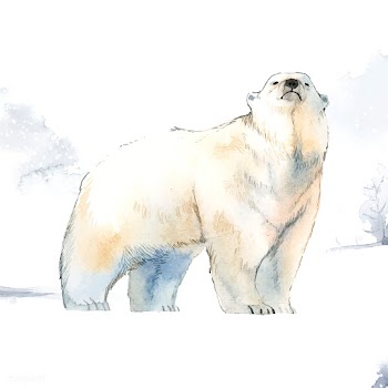 Hand-drawn polar bear in the snow watercolor .. | Free stock vector - 489621
