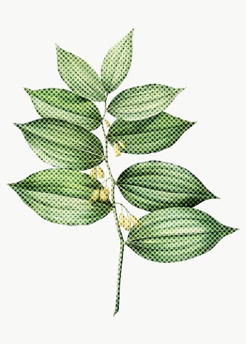 Hand drawn polygonatum flower halftone style sticker overlay | Free  transparent png - 2346469