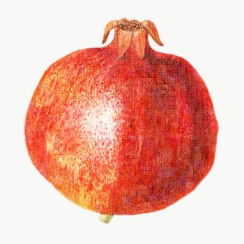 Hand drawn pomegranate acrylic style sticker overlay | Free  transparent png - 2347008