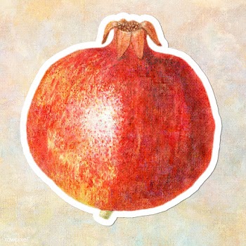 Hand drawn pomegranate acrylic style sticker overlay with a white bord.. | Free  illustration - 2347007