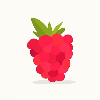 Hand drawn raspberry fruit illustration | Free stock vector - 417010