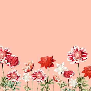 Hand drawn red and white anemone flower frame | Free stock vector - 503594