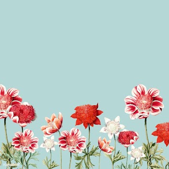 Hand drawn red and white anemone flower frame | Free stock vector - 503597