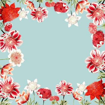 Hand drawn red anemone flower frame with desi.. | Free stock vector - 503611