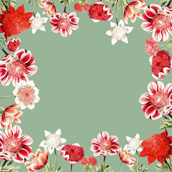 Hand drawn red anemone flower frame with desi.. | Free stock vector - 503618