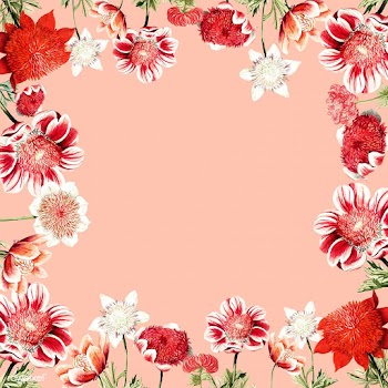 Hand drawn red anemone flower frame with desi.. | Free stock vector - 503622