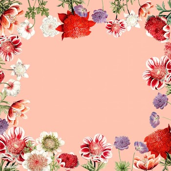 Hand drawn red anemone flower frame with desi.. | Free stock vector - 503623
