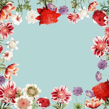 Hand drawn red anemone flower frame with desi.. | Free stock vector - 503624