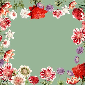 Hand drawn red anemone flower frame with desi.. | Free stock vector - 503626