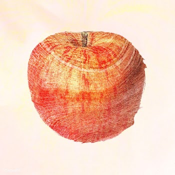 Hand drawn red apple design element | Free  illustration - 2349814