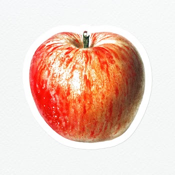 Hand drawn red apple sticker design element | Free  illustration - 2349812