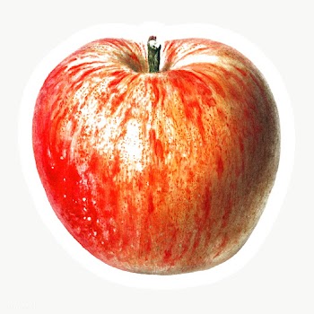 Hand drawn red apple sticker design element | Free  transparent png - 2349835