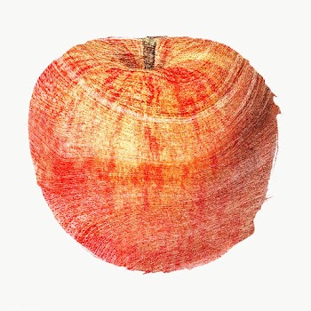 Hand drawn red apple sticker design element | Free  transparent png - 2349837