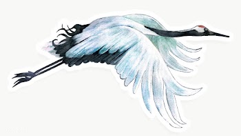 Hand drawn red-crowned crane acrylic paint style sticker with white bo.. | Free  transparent png - 2342923