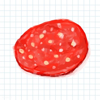 Hand drawn salami watercolor style | Free stock vector - 393012