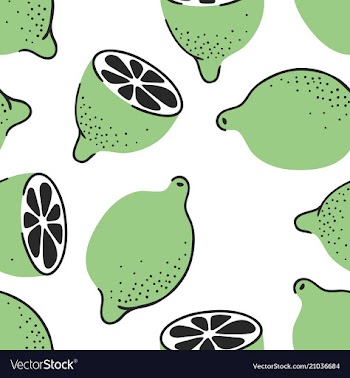 Hand drawn seamless pattern with tropical citrus vector image