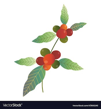 hand drawn set of colorful coffee tree branches