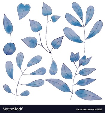 hand drawn set of leaves set of isolated floral