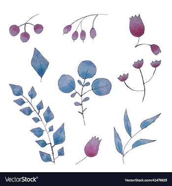 hand drawn set set of isolated floral elements