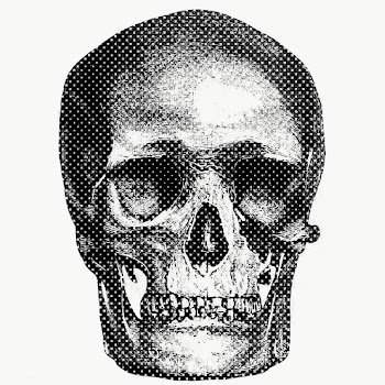 Hand drawn skull halftone style sticker overlay | Free  transparent png - 2346502