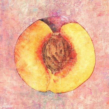Hand drawn sliced peach illustration | Free  illustration - 2347593