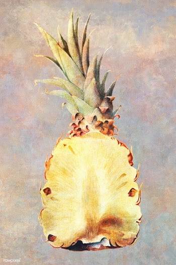 Hand drawn sliced pineapple illustration | Free  illustration - 2347063