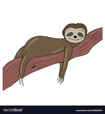 hand drawn sloth animal